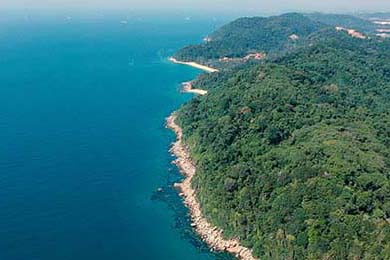 TI11冠军揭晓，战队辉煌夺冠，ti11全球总决赛