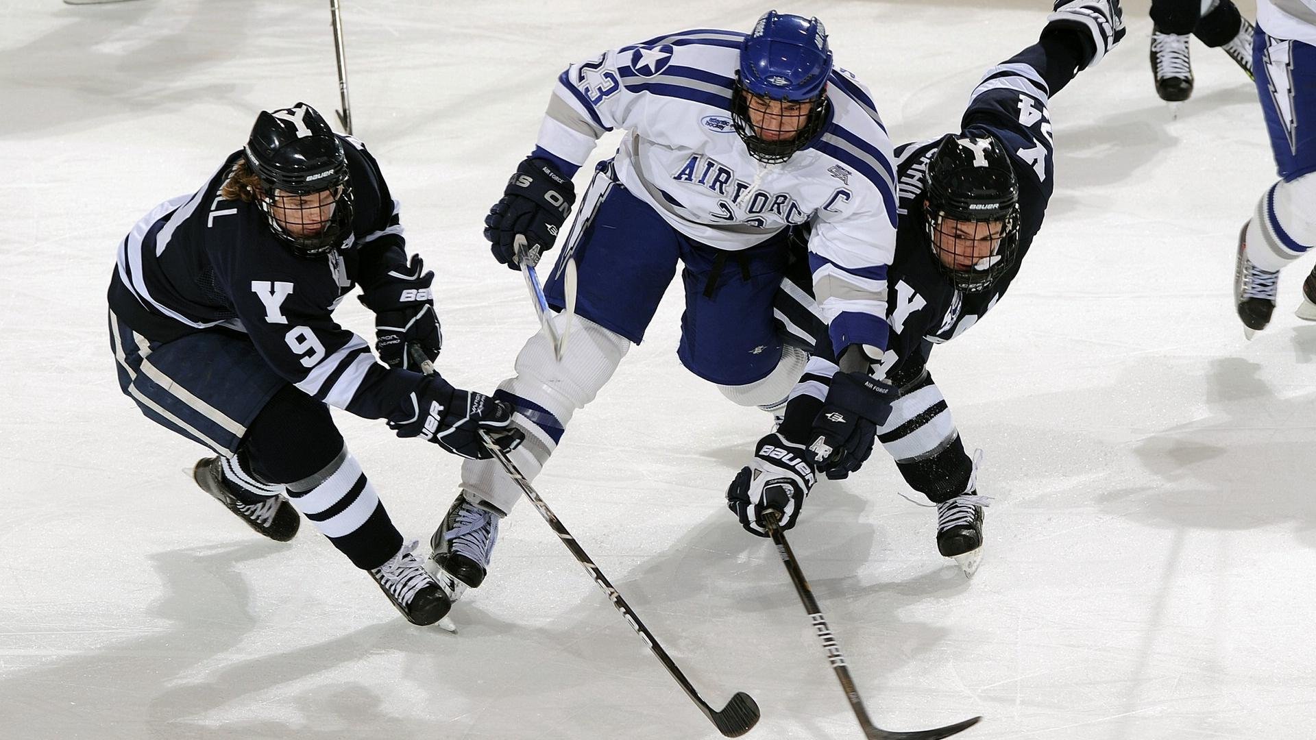 _体育+艺术展演：视觉与运动的奇幻融合_，视觉运动整合